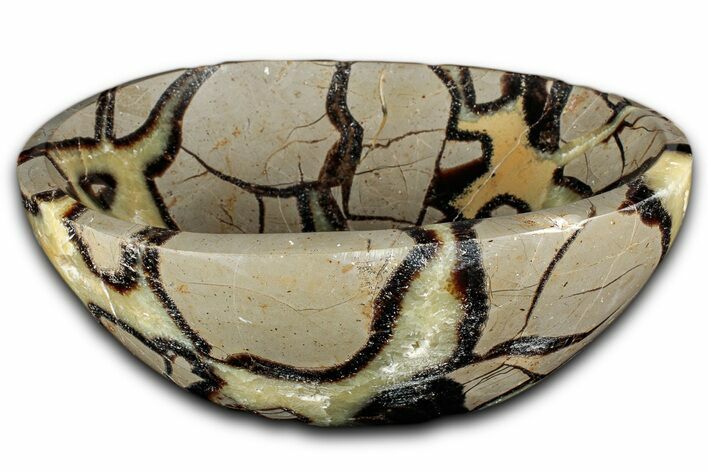 Eye-Eatching, Polished Septarian Bowl - Madagascar #350237